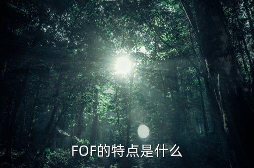 什么是fof，ETF基金和FOF有何區(qū)別