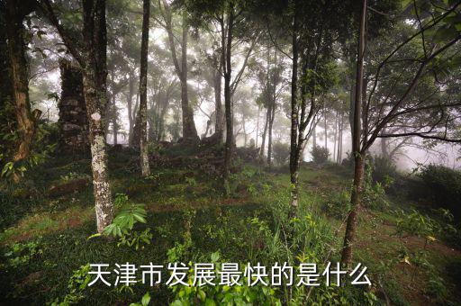 天津靠什么發(fā)展，天津市發(fā)展最快的是什么
