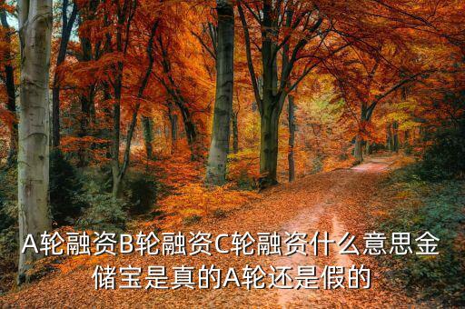 幾輪融資是什么意思，A輪融資B輪融資是什么意思