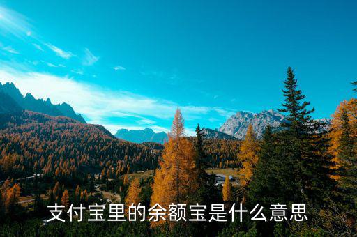 支付寶余額寶是什么，支付寶里的余額寶是什么意思