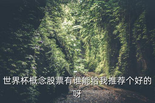 世界杯什么股票好，世界杯概念股票有誰(shuí)能給我推薦個(gè)好的呀