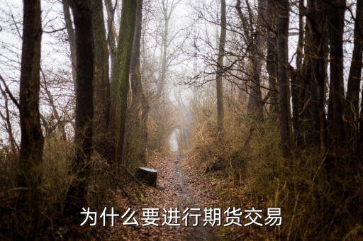 為什么國內期貨，為什么要做期貨投資