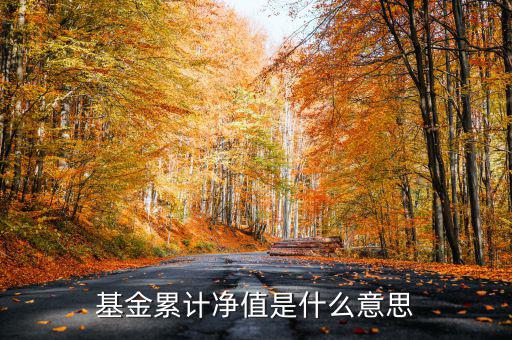 基金累計(jì)凈值是什么意思，基金凈值累計(jì)凈值各指什么