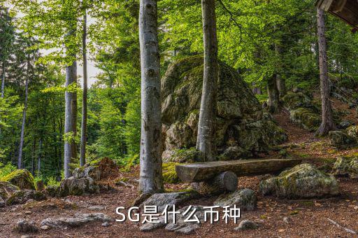 sgd是什么幣種，SG是什么幣種
