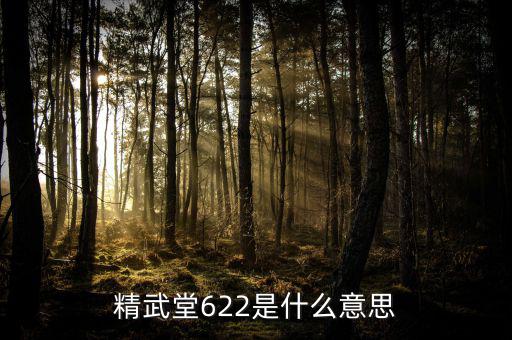 622什么意思國泰君安，國泰君安是什么意思