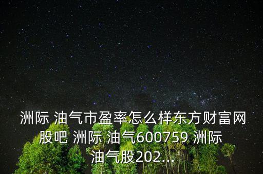  洲際 油氣市盈率怎么樣東方財富網(wǎng)股吧 洲際 油氣600759 洲際 油氣股202...