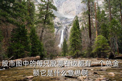 股市圖每只股票的總量是什么意思，股票總量是什么意思