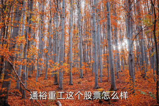 通裕重工是什么板塊，通裕重工這個(gè)股票怎么樣