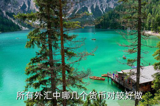 炒外匯什么貨幣對(duì)最賺錢，炒外匯選擇哪個(gè)貨幣對(duì)容易獲利