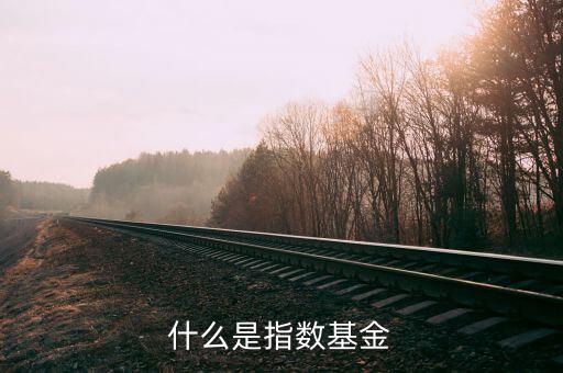 什么是指數(shù)基金，什么是指數(shù)基金