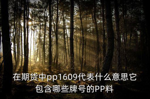大商所的塑料指數(shù)是什么意思，請問在同花順期貨軟件中的塑料指數(shù)I888反而我在大商所卻找不到了