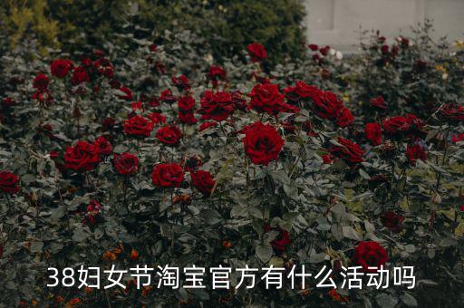 三八婦女節(jié)各個(gè)電商有什么活動(dòng)，淘寶店在三八節(jié)可以搞些什么活動(dòng)