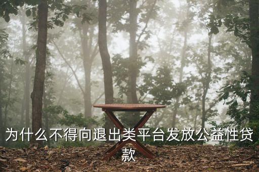 什么是退出類融資平臺(tái)，為什么不得向退出類平臺(tái)發(fā)放公益性貸款