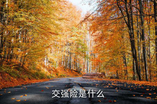 什么是交強險，交強險是什么