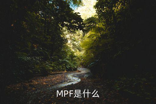 mpf是什么費(fèi)用，網(wǎng)購(gòu)中的EMS費(fèi)用是什么費(fèi)用