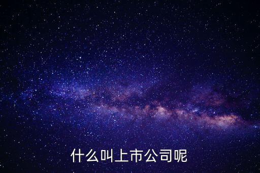 什么是上市公司，什么是上市公司
