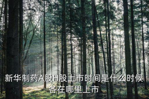 新華醫(yī)藥是什么股票，600587新華醫(yī)療2560買的最后1個(gè)交易日終究解套并小贏了請(qǐng)問(wèn)接下來(lái)