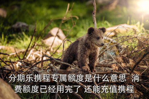 分期樂消費(fèi)額度是什么意思，分期樂免息額度是什么意思