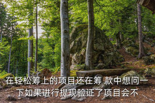 輕松籌提現(xiàn)有什么審核，輕松籌審核條件
