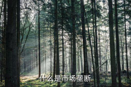 什么算壟斷，什么是經(jīng)濟(jì)壟斷
