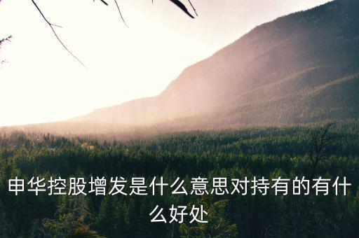 申華控股是什么板塊，申華控股怎么樣