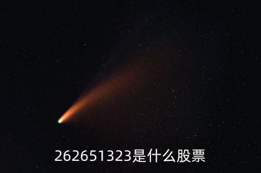 208393股票是什么，262651323是什么股票