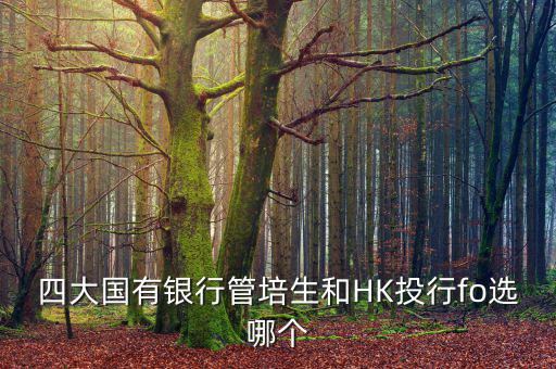 四大去投行有什么優(yōu)勢(shì)，女 研究生畢業(yè)想進(jìn)投行 考研想考北大 清華 復(fù)旦或者香港大學(xué) 請(qǐng)問(wèn)這四