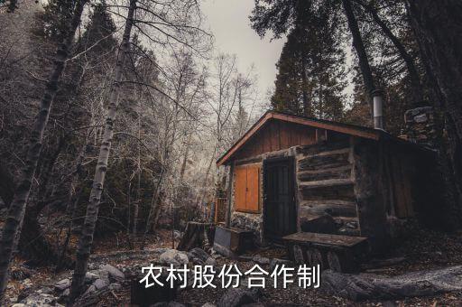 什么是農民股份合作，什么叫農村經濟合作股份制