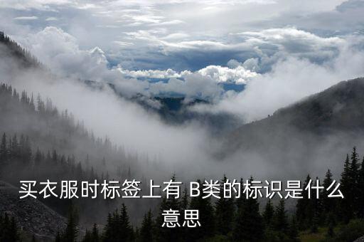 有色b是什么，買衣服時(shí)標(biāo)簽上有 B類的標(biāo)識(shí)是什么意思
