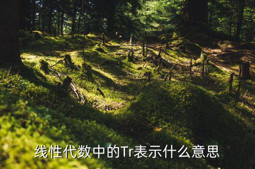 一陽穿四線說明什么，一陽穿四線成交增量的股票會(huì)漲嗎