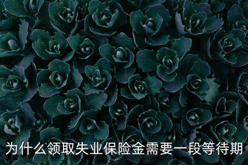 失業(yè)保險為什么應(yīng)設(shè)等待期限，為什么領(lǐng)取失業(yè)保險金需要一段等待期