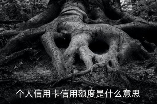信用卡的信用額度是什么意思，信用卡額度什么意思