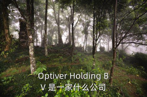 什么是nyme原油，Optiver Holding BV 是一家什么公司