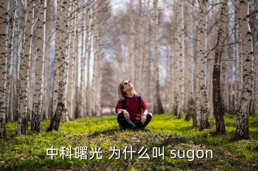 2014中科曙光什么時(shí)候上市的，股票為什么要選中科曙光