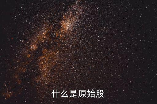 公司原始股是什么，什么是原始股怎樣買(mǎi)原始股