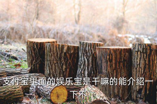 娛樂(lè)寶有什么意義，支付寶里面的娛樂(lè)寶是干嘛的能介紹一下不