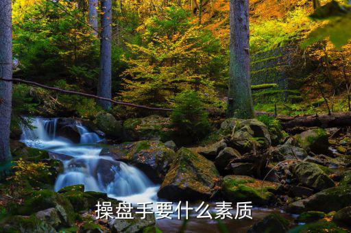 操盤手有什么要求，操盤手要什么素質(zhì)