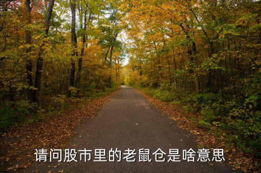 股市老鼠倉什么意思，股票 老鼠倉是什么意思