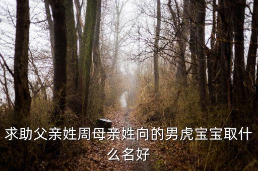 威靈老總周向陽為什么辭職，浙江衢州有個叫周向陽的人嗎