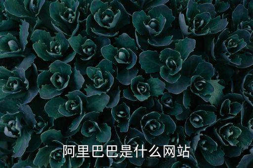 阿里巴巴是什么網(wǎng)站，阿里巴巴是什么網(wǎng)站