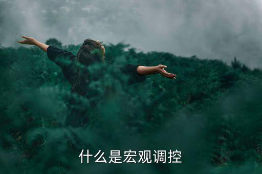 宏觀調(diào)控的定義是什么，怎么理解宏觀調(diào)控