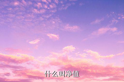什么是凈值類理財產(chǎn)品，凈值型理財產(chǎn)品是什么意思