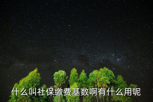 社保繳費基數(shù)有什么用，什么叫社保繳費基數(shù)啊有什么用呢