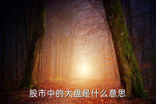 股市中的大盤(pán)是什么意思