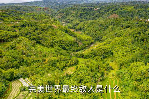 什么是對手盤，完美世界最終敵人是什么