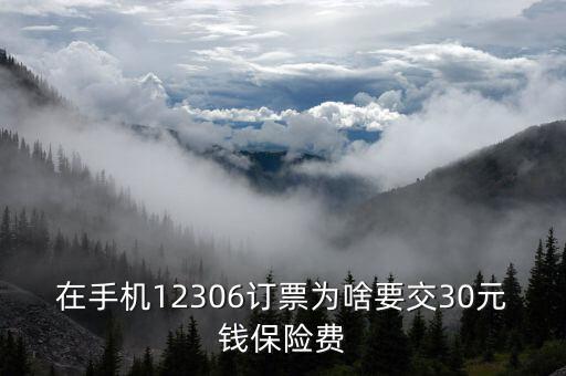 在手機(jī)12306訂票為啥要交30元錢(qián)保險(xiǎn)費(fèi)