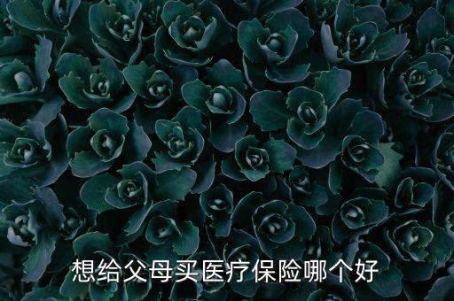 給父母買什么醫(yī)療保險好，想給父母買醫(yī)療保險哪個好