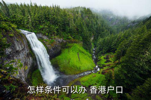 怎樣條件可以辦 香港戶(hù)口