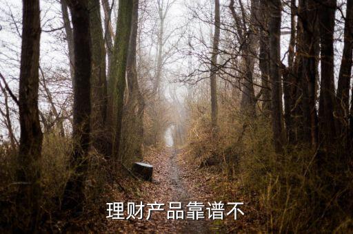 投資產(chǎn)品怎么樣啊,理財(cái)產(chǎn)品投資組合可分散投資非系統(tǒng)性風(fēng)險