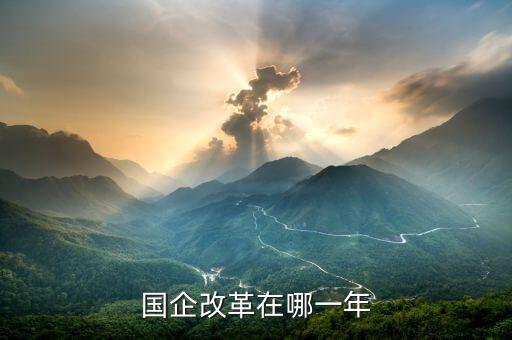 國企改革什么時候開盤，國有企業(yè)改革是什么時候